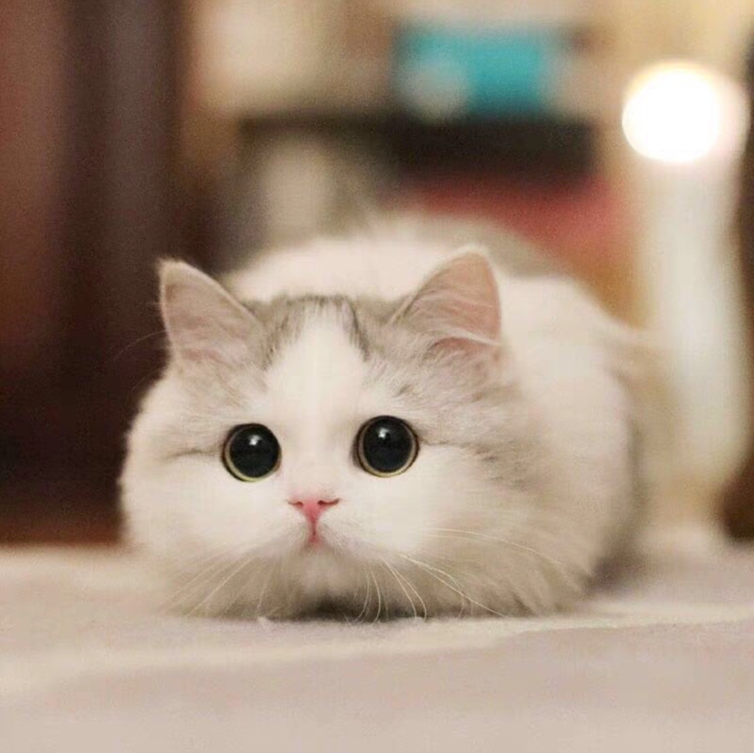 任轶