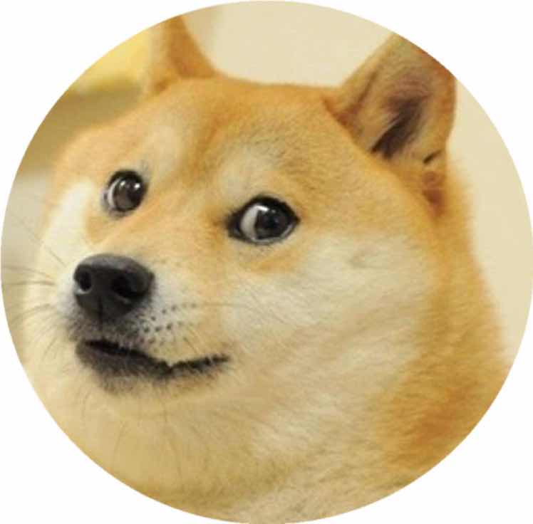 你学废了么