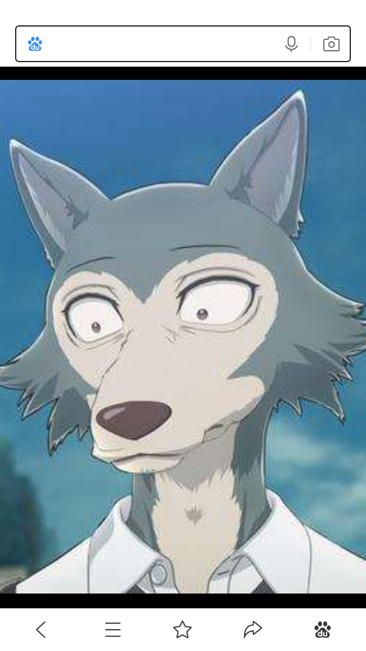 动物狂响曲灰狼雷格西